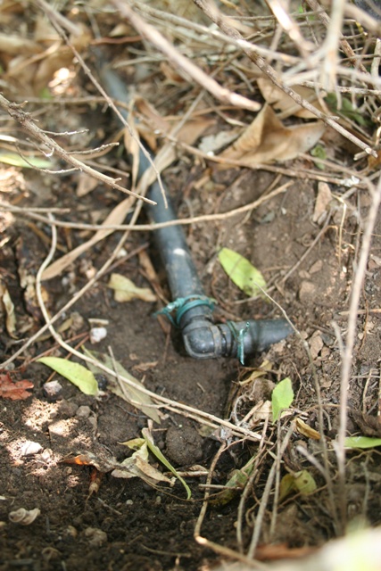 Pipe repair in the orchard